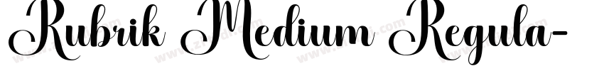 Rubrik Medium Regula字体转换